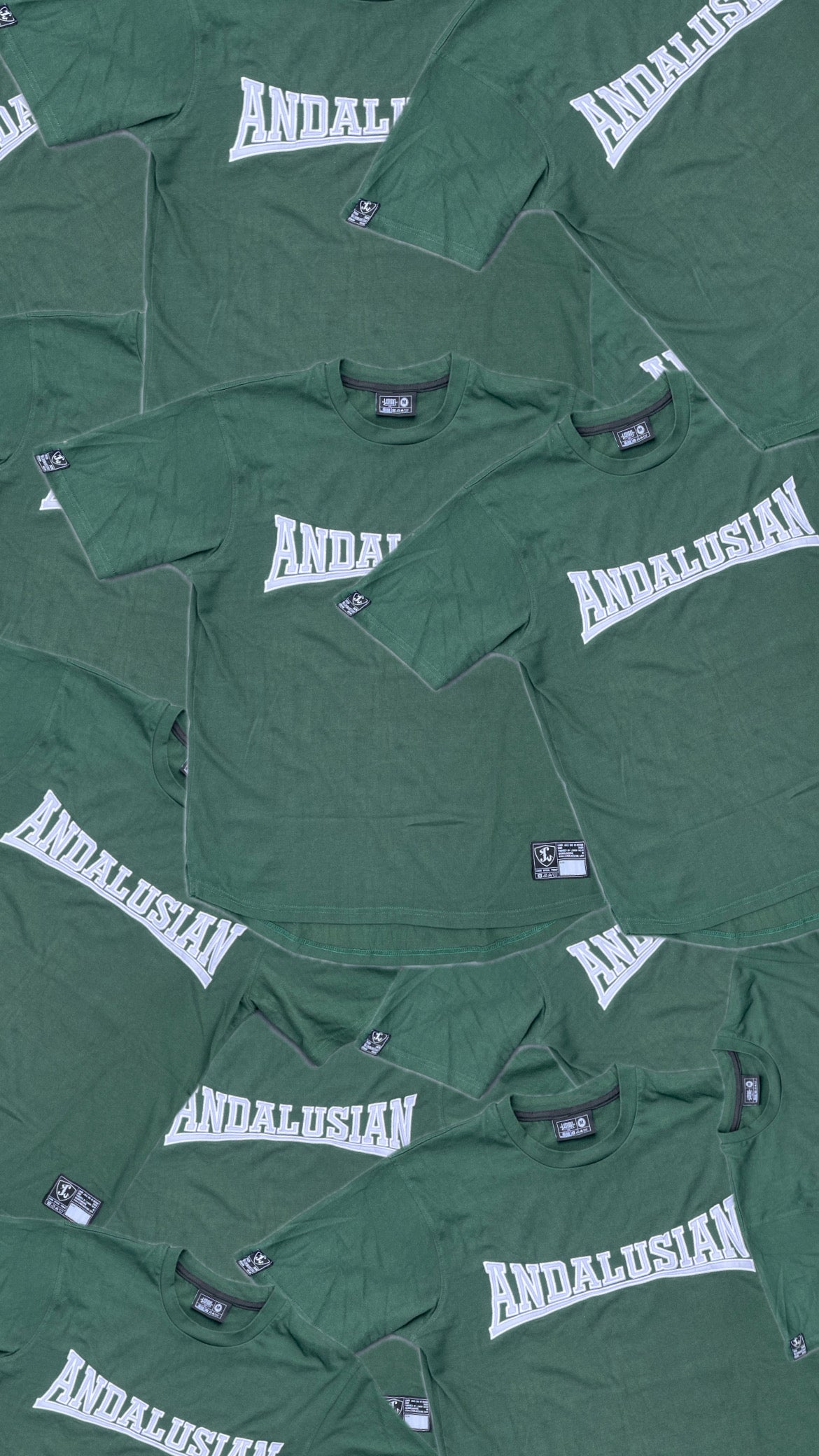 CAMISETA ANDALUSIAN (PRESALE)